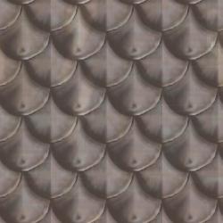 Repetitive texture pathological image example C versus D.