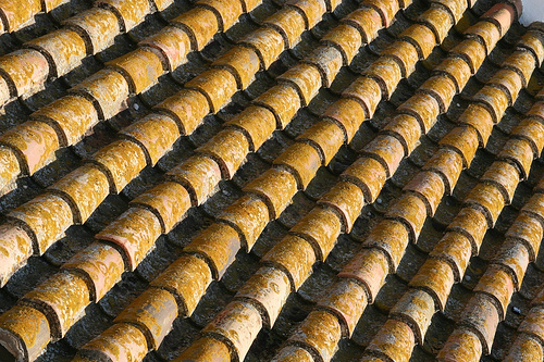 Repetitive texture pathological image example D versus C.